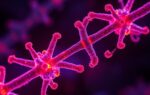 CRISPR Gene Editing: Revolutionizing Genetic Science and Medicine current affairs