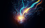 Subconscious Mapping