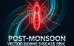 Post-Monsoon Vector-Borne Disease Risk Post-Monsoon Vector-Borne Disease Risk