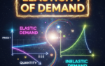Elasticity of Demand